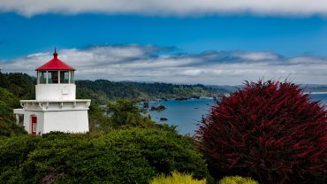 Discover Trinidad and Tobago: The Gem of the Caribbean