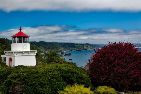 Discover Trinidad and Tobago: The Gem of the Caribbean