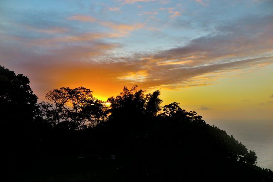 Sunset Boat Tour into Caroni Wetlands