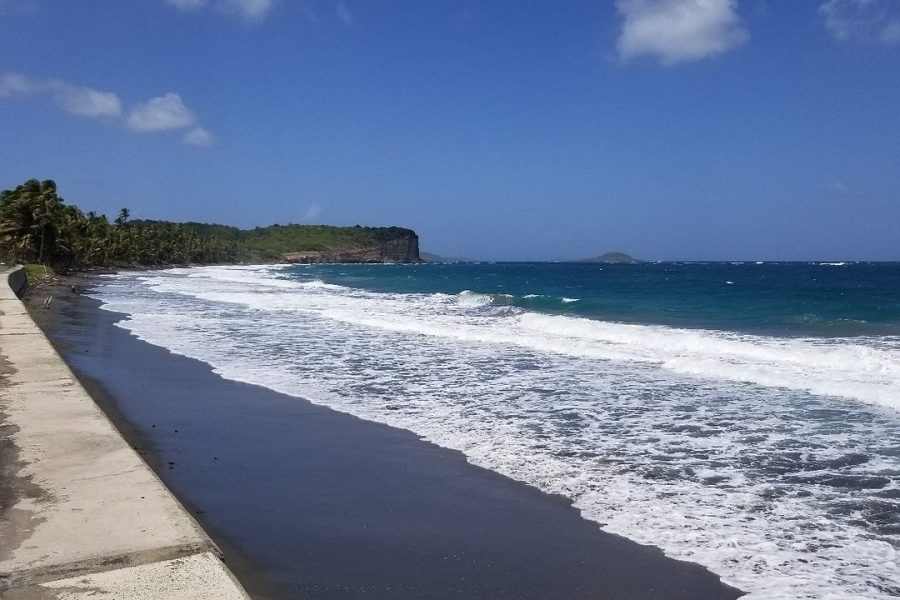 Sunset & Champagne Cruise on a Classic Schooner with boat dogs