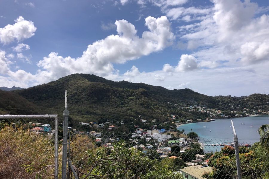 Grenada Island Food & Sightseeing Tour (Full/Half Day)