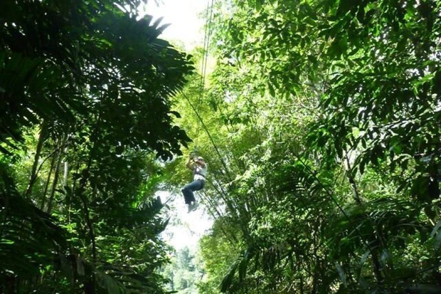 Dunn’s River Falls Climb plus Ziplines, ATV, Horse Ride & Swim from Montego Bay