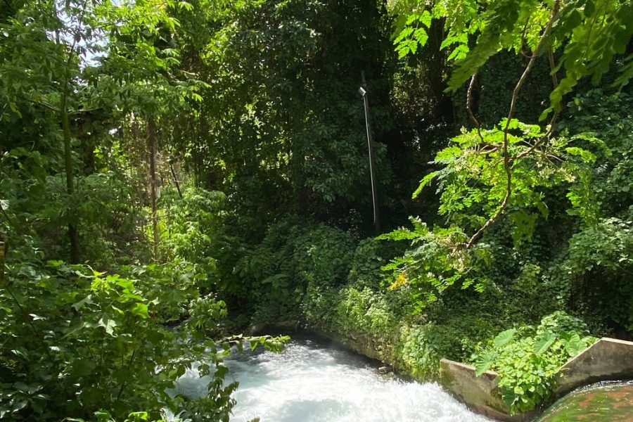 Blue Hole, Secret Falls, and Dunn’s River Falls Combo Day-Trip