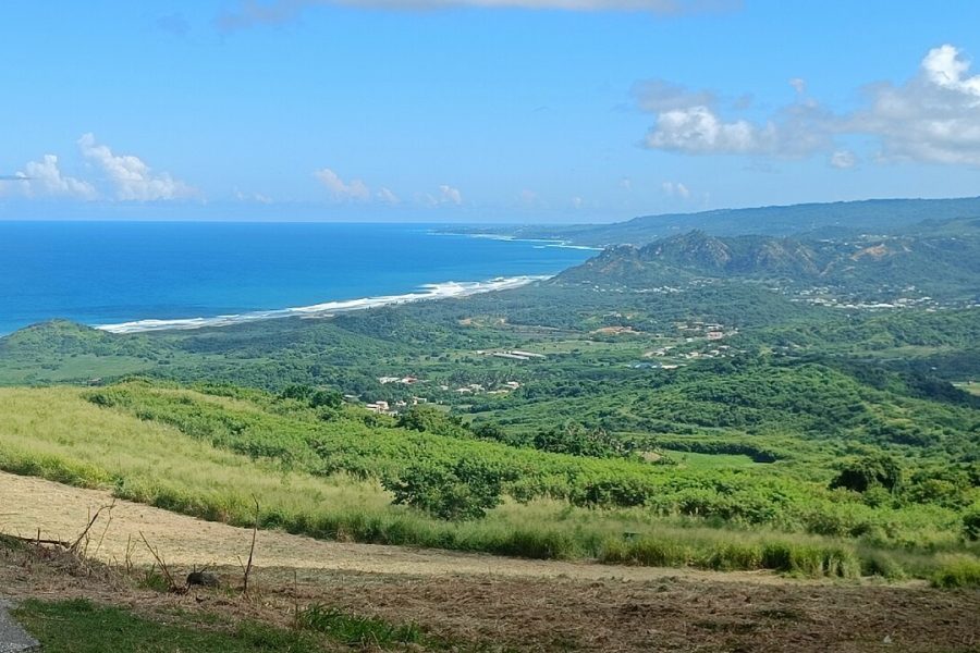 Barbados Island Tour with Lunch and Wildlife Sanctuary