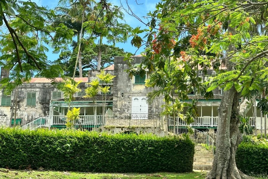 Barbados Turtle and Shipwreck Snorkel Adventure