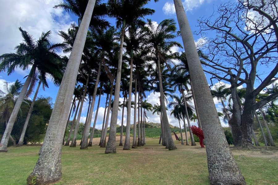 Habitation Clement – entrance ticket