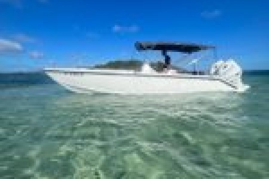 North Tour: rainforest, rum distillery, black sand beach etc