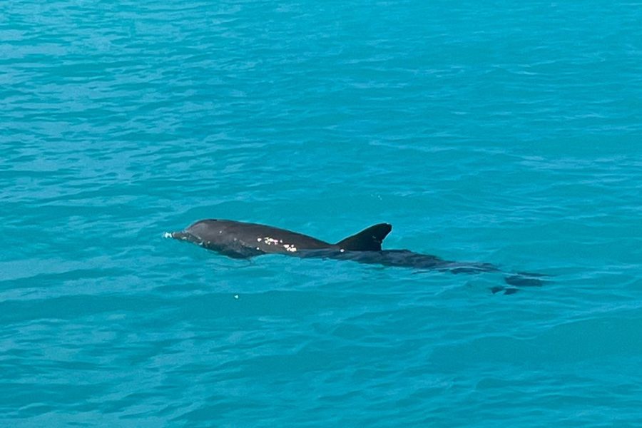 Jet Skiing around La famille ship and smaller pristine cays