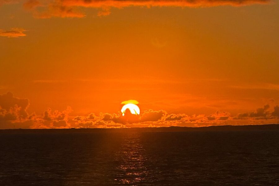 Drive GDT – Golf Cart Rentals