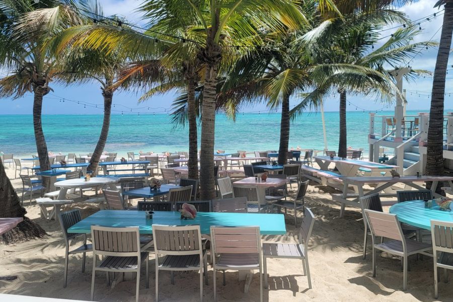 Morning Half Day Cruise from Providenciales with Snorkeling and Iguana Island