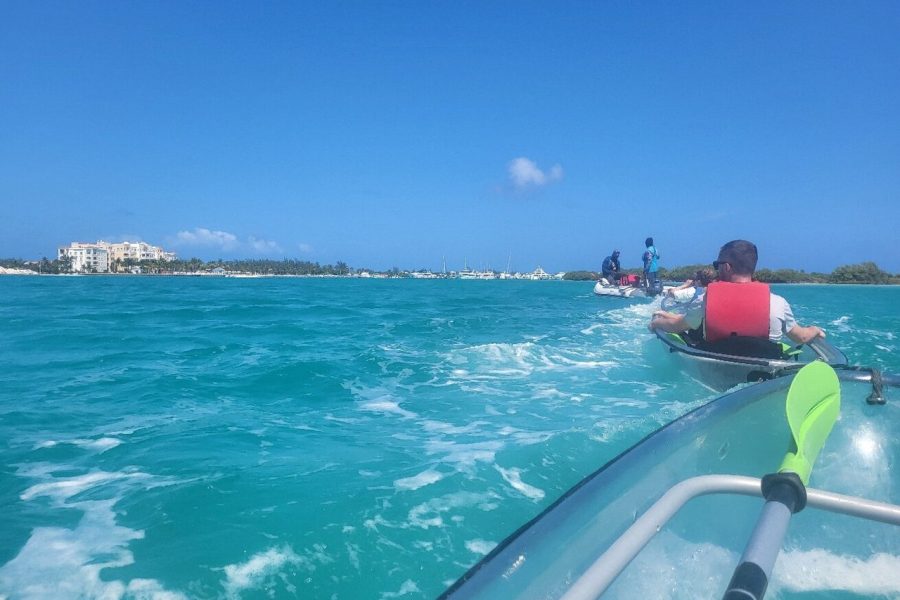 4hour Group Half Day Snorkeling Excursion in Grace Bay