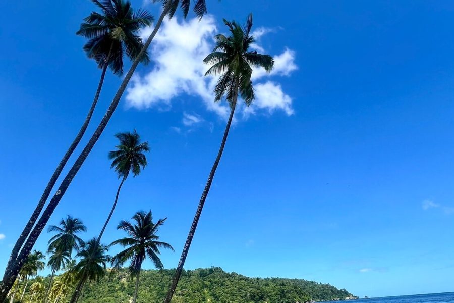 Day Trip to Maracas Beach