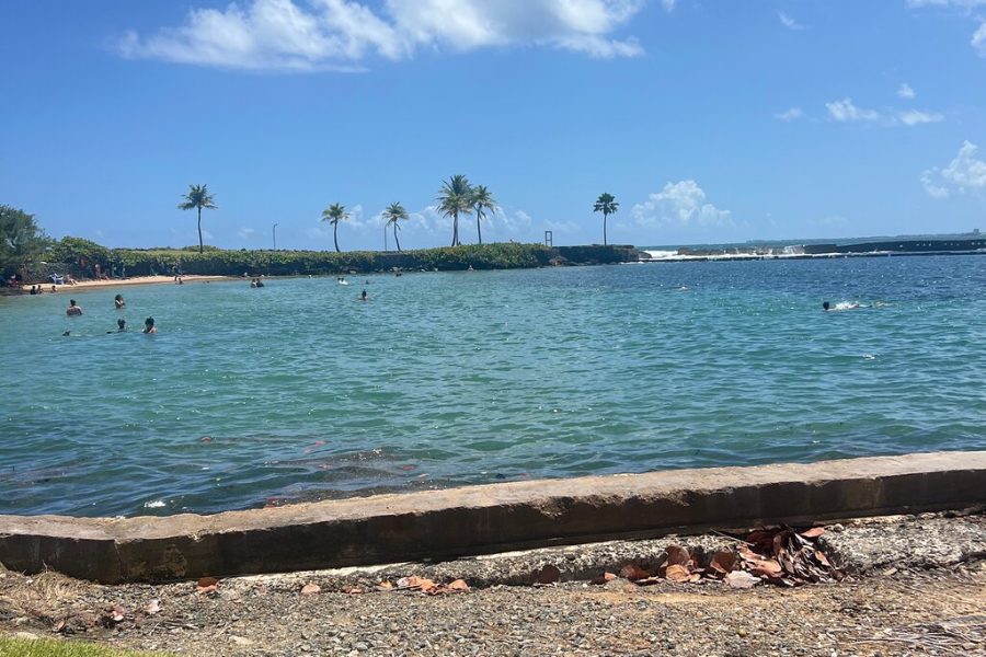 Self-Drive Half-Day Waterslide Yunque Tour