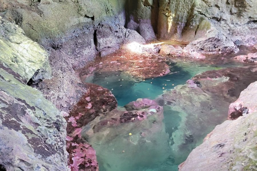 Puerto Rico Jet Snorkel with Turtles and Videos in San Juan