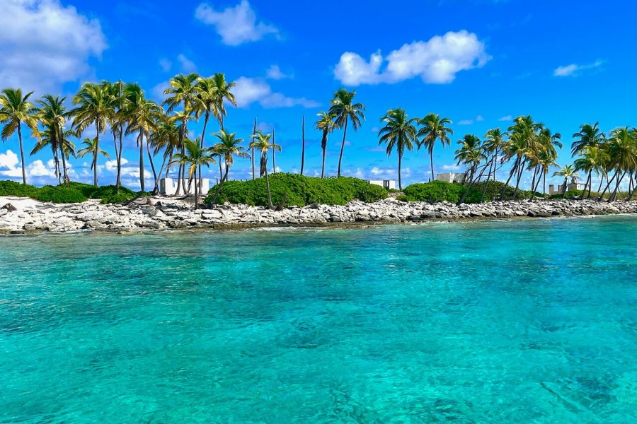 Small Group Tour Pigs/Turtles/Snorkeling/Lunch/Pickup/Dropoff