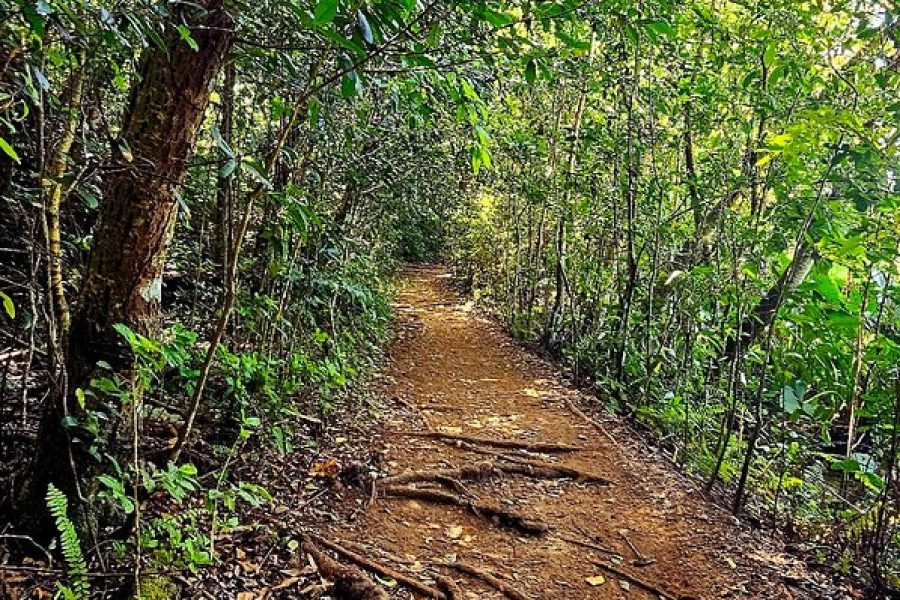 Old San Juan and El Morro Castle Walking Tour