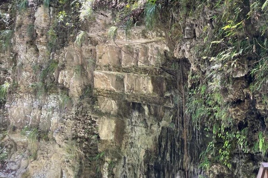 El Yunque Ziplining in Puerto Rico