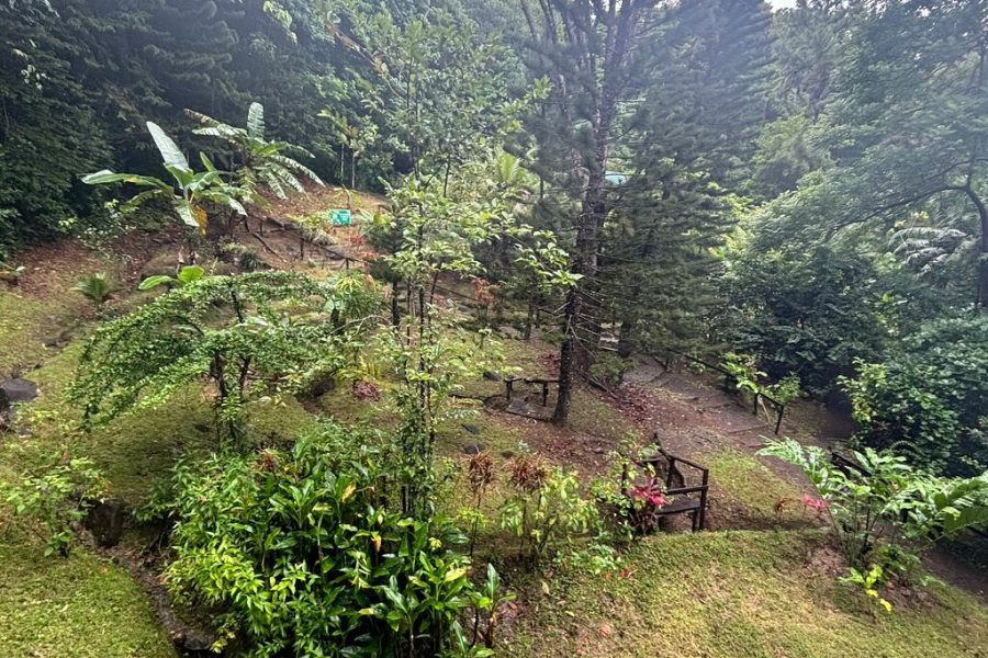 St. Lucia Aerial Tram Tour at Rainforest Adventures