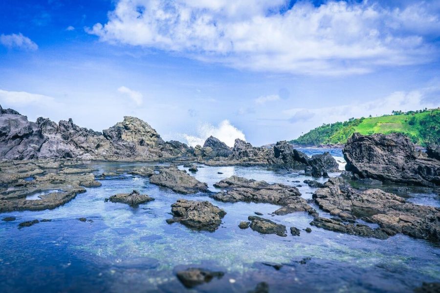 Botanical Gardens and City Tour