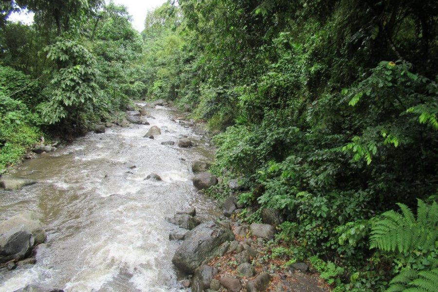 Owia Salt Pond Tour with Fraser’s Taxi and Excursions