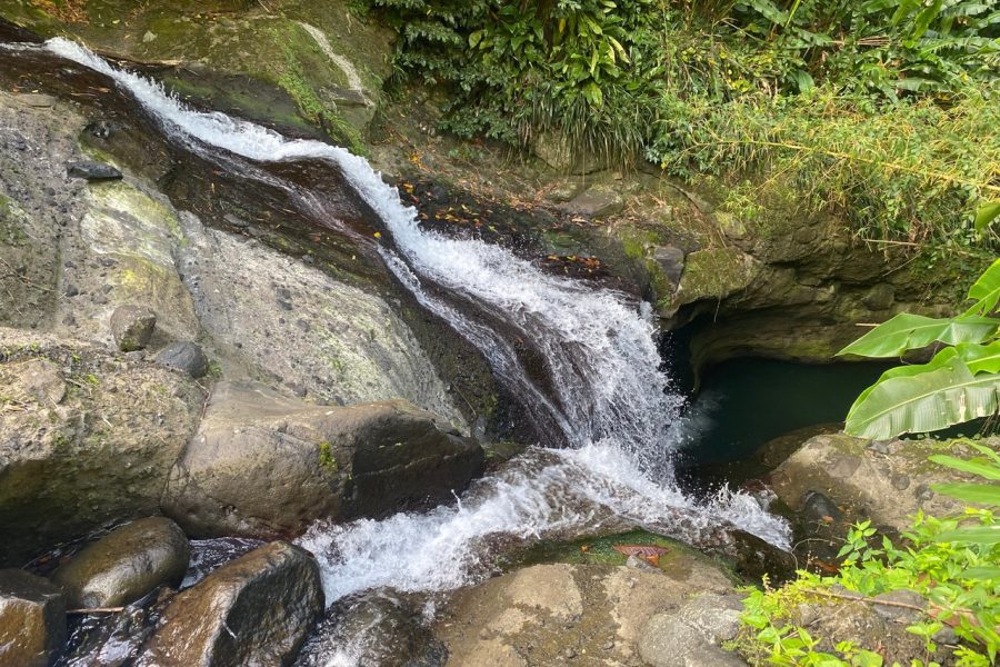 Full-Day Tour: Belmont Estate, Rum Distillery, Grand Etang