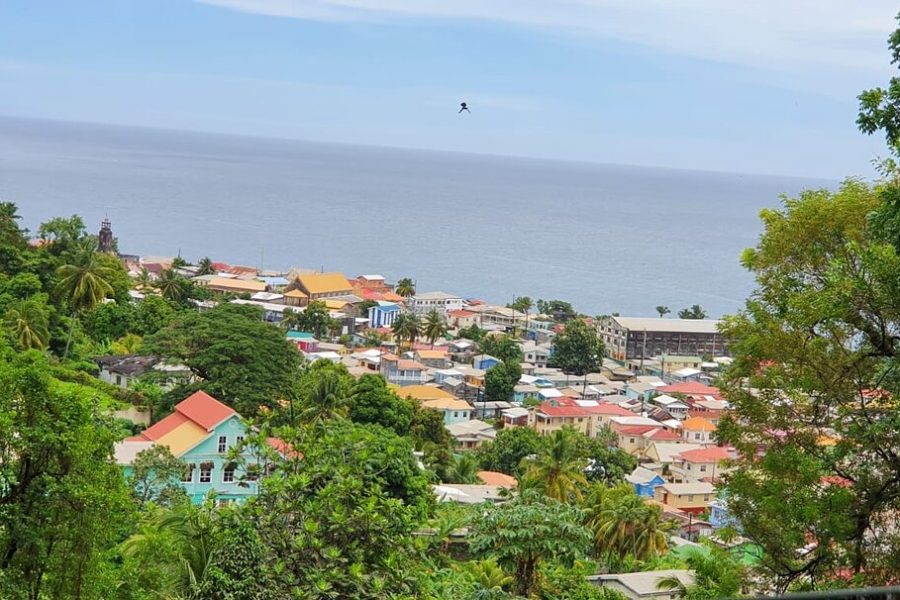 Chocolate Factory Belmont Estate, Annandale Falls & Grand Etang Lake Tour