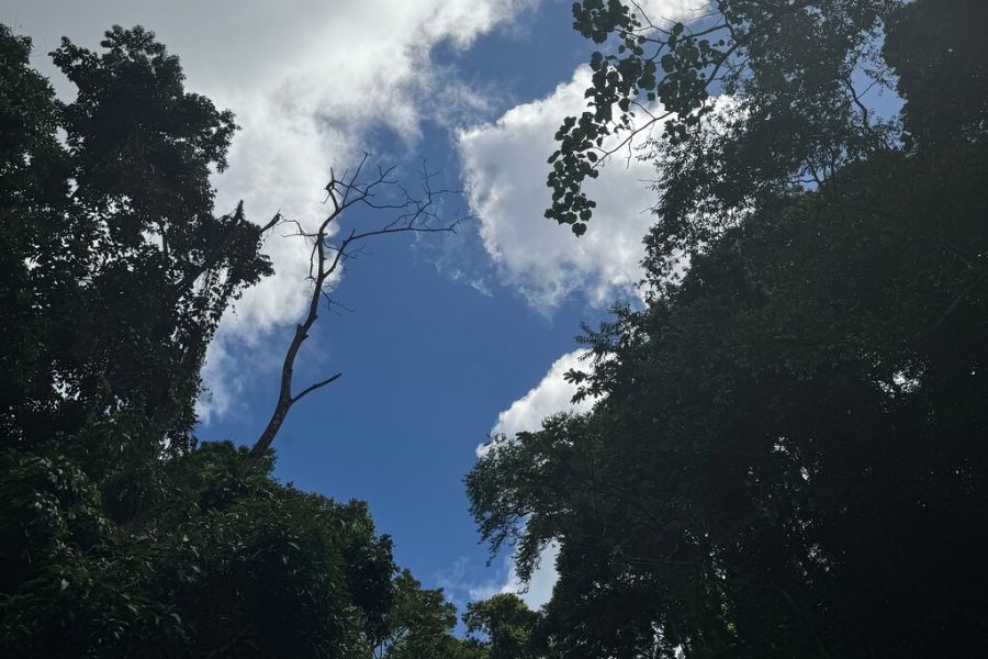 Seven Sisters Waterfalls Hike