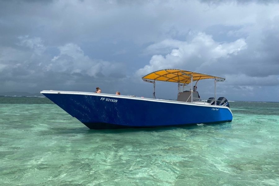 Sea excursion in the bays of Robert and Francois.