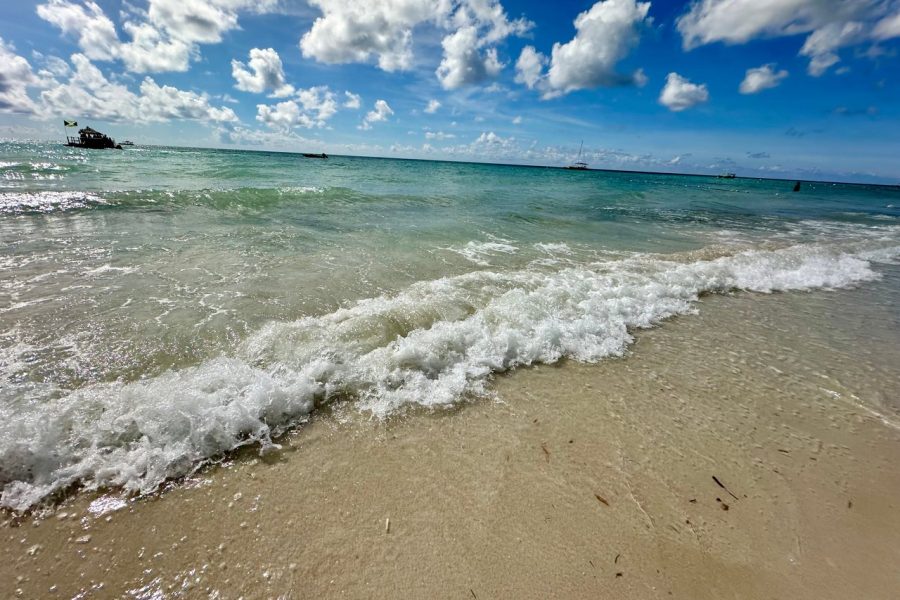 Friday Evening Kingston Harbour Cruise, Sunday Beach Cruise or Charter Our Boats