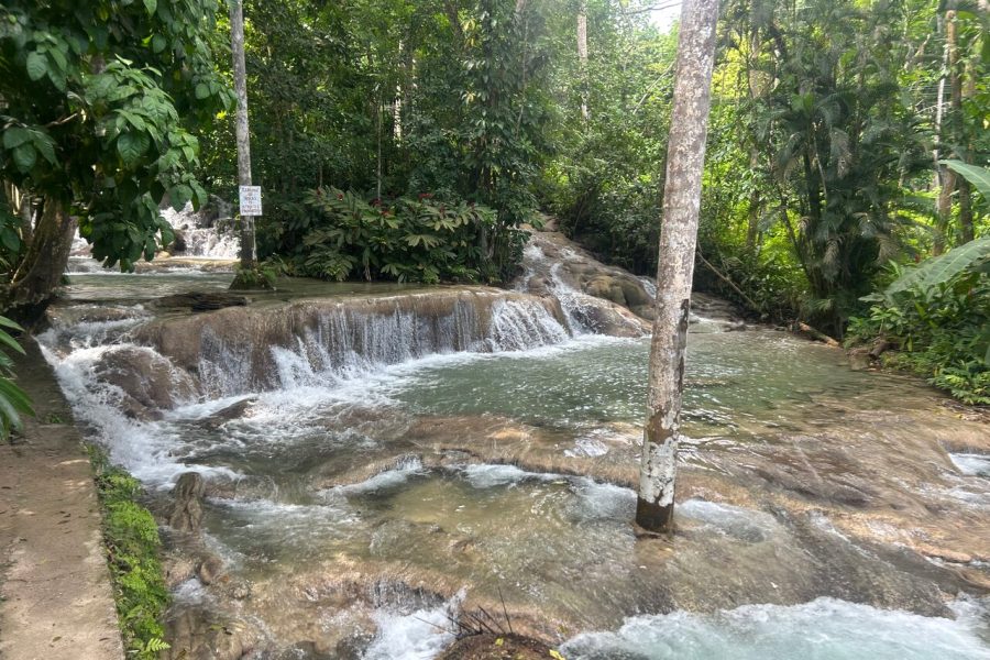 Private Negril Beach,Rick’s Cafe tour shopping from Montego Bay