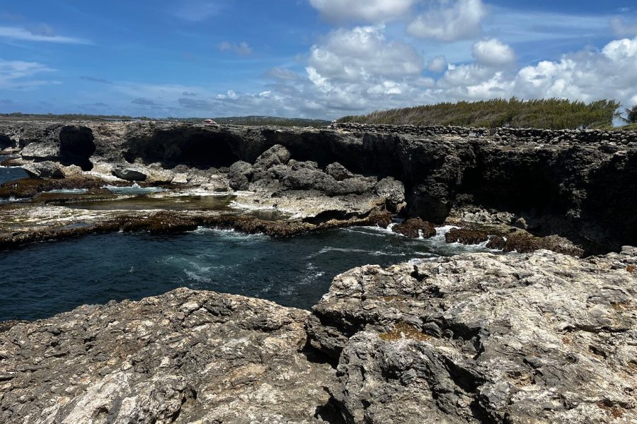 Private Full-Day Barbados Excursion With Entrance Fee Discounts