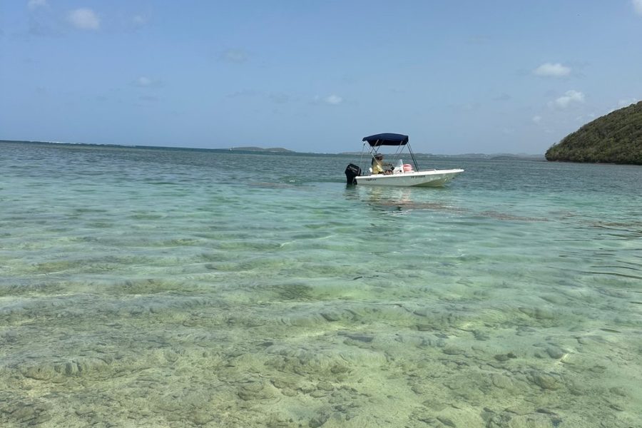 Day trip at sea to the Fonds Blancs Martinique Windward Coast