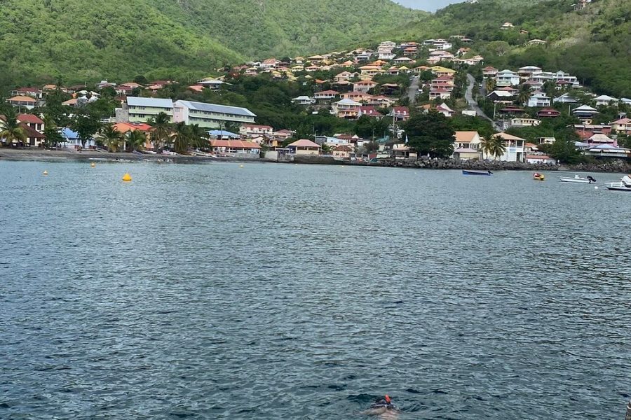 Diving and / or snorkeling day from a catamaran