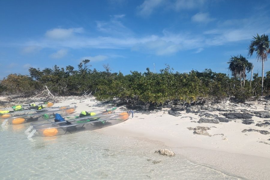 Deluxe Half-Day Snorkel Sail on Lady Grace Luxury Catamaran