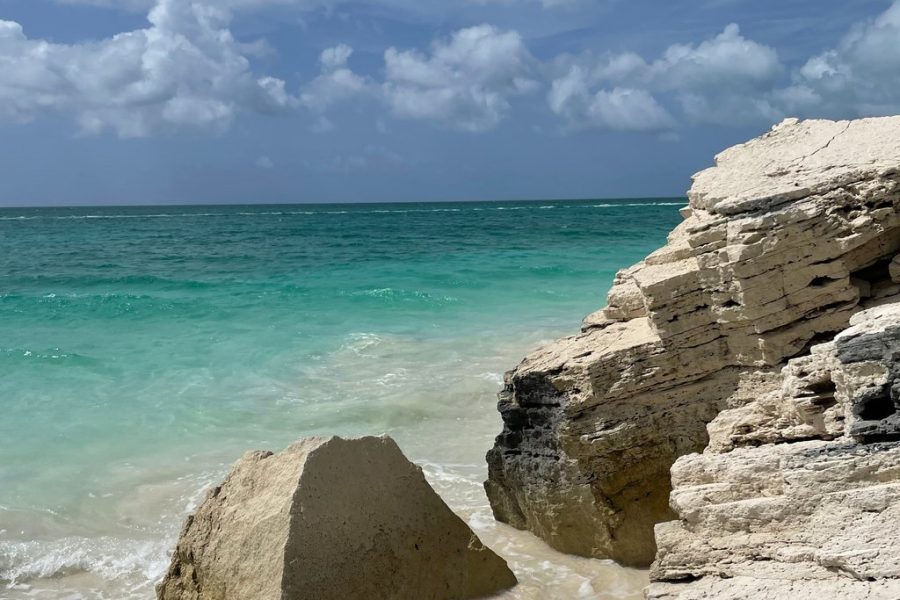 Love Buggy Island Tour with Lunch