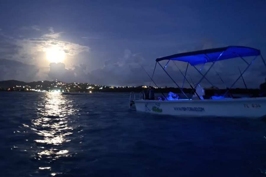 Fun Fishing Tour (Snacks & Light Refreshments Offered)