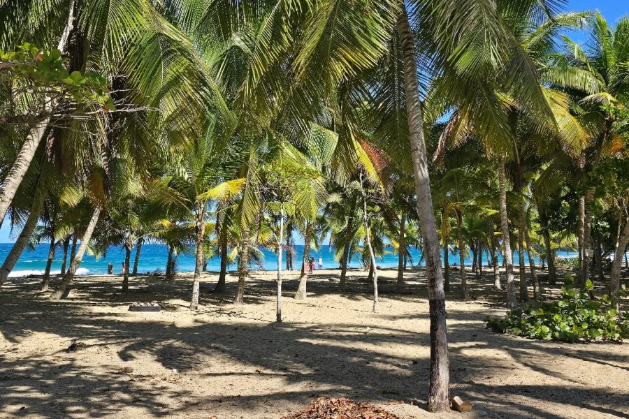 San Juan 2-hour ATV / Minutes away from most Accommodations in the area