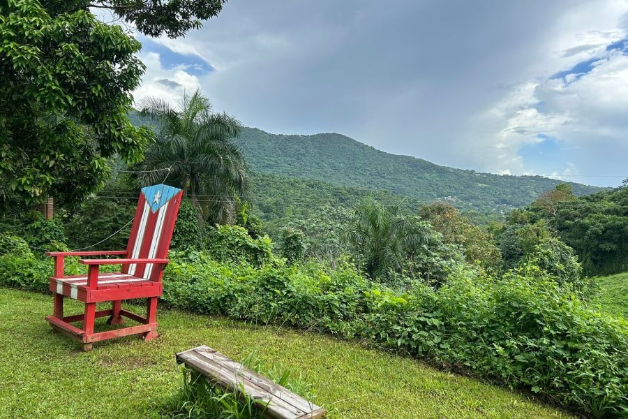 Full-Day Zipline and Waterfall Rappelling Adventure Near San Juan