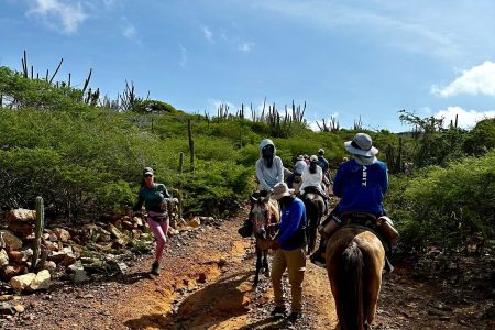 Aruba Happy Hour Tour
