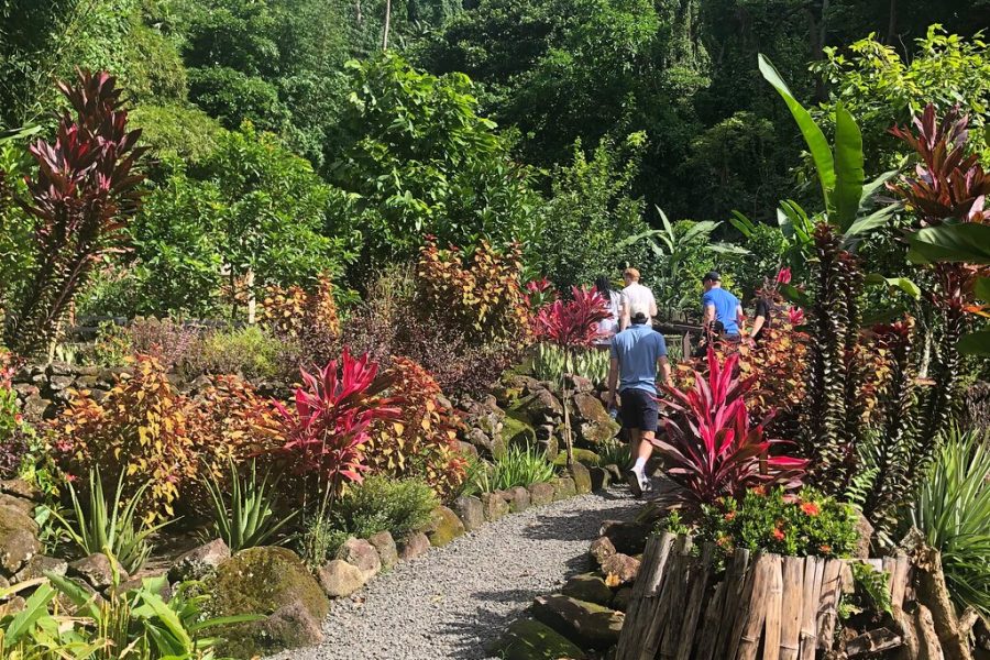 Soufriere Volcano Experience