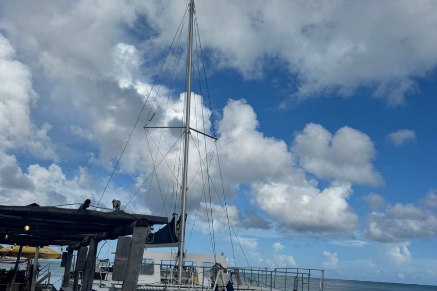 Aruba Morning Snorkel Sail and Mimosa Brunch