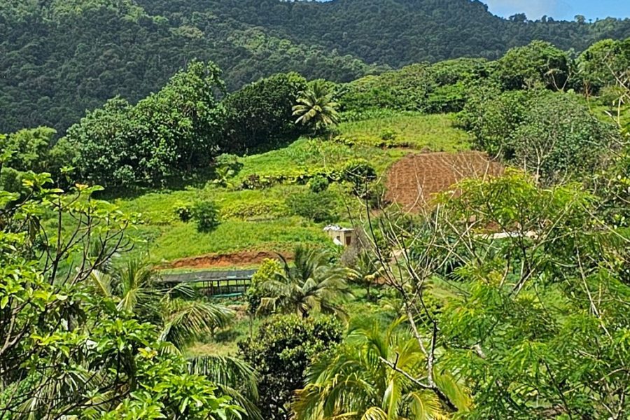 Isle of Spice Adventure Tour