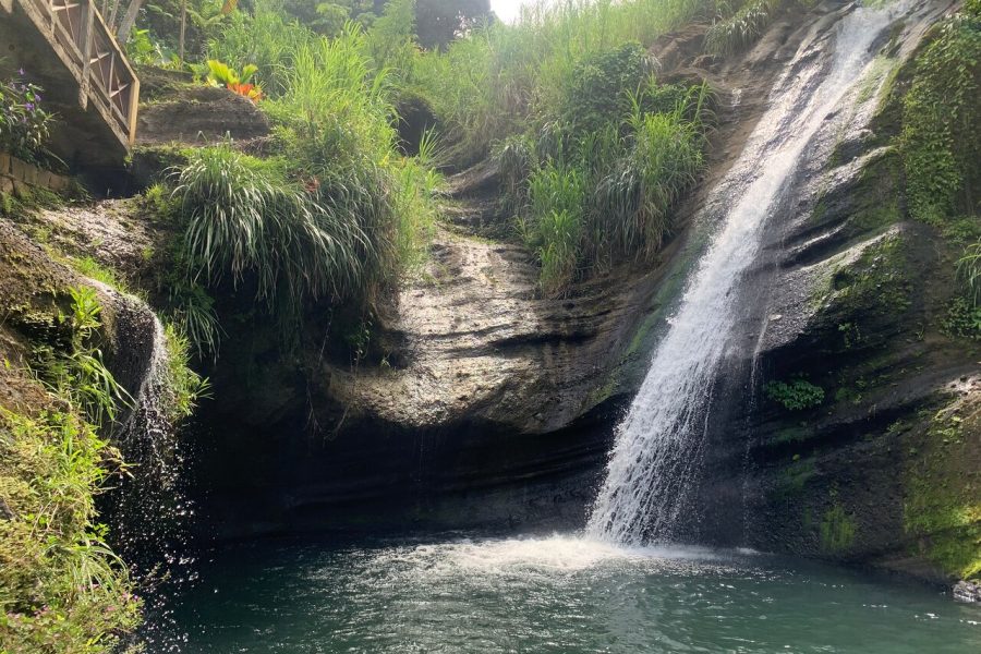 Explorer’s Choice: Grenada Private Half Day Island Tour