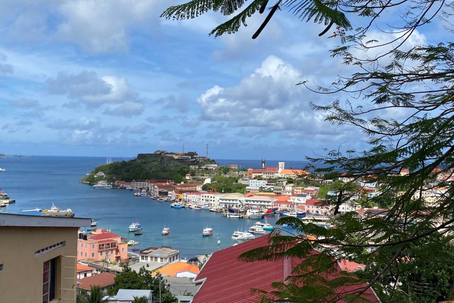 ALL INCLUSIVE Full Day snorkeling & sunset cruise with boat dogs