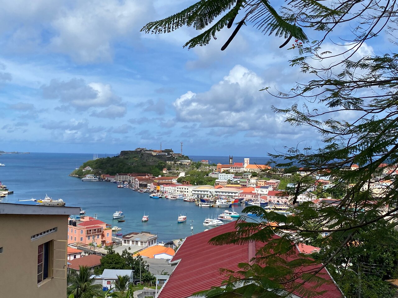 ALL INCLUSIVE Full Day snorkeling & sunset cruise with boat dogs