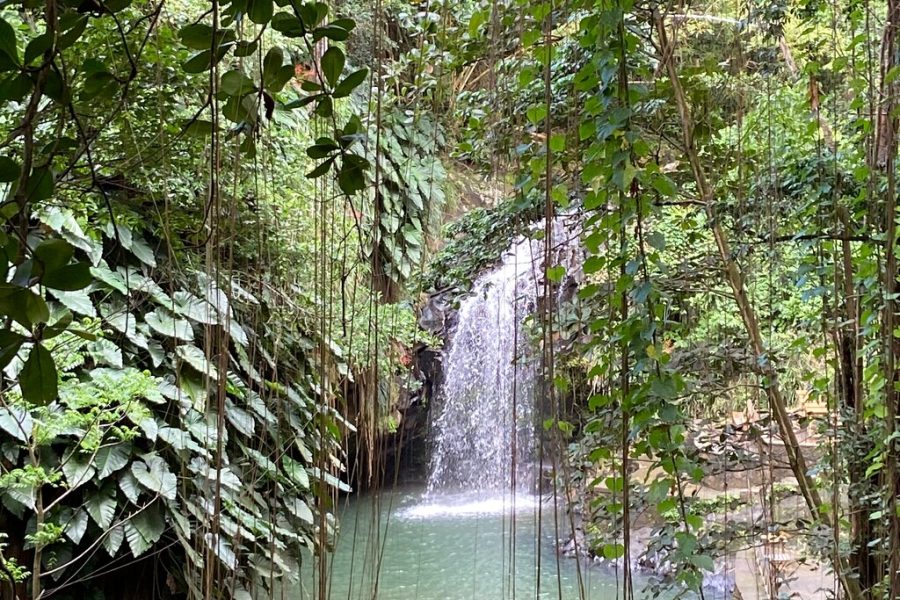 Grenada Spice Gardens, Rum & Chocolate Tour (Full/Half Day)