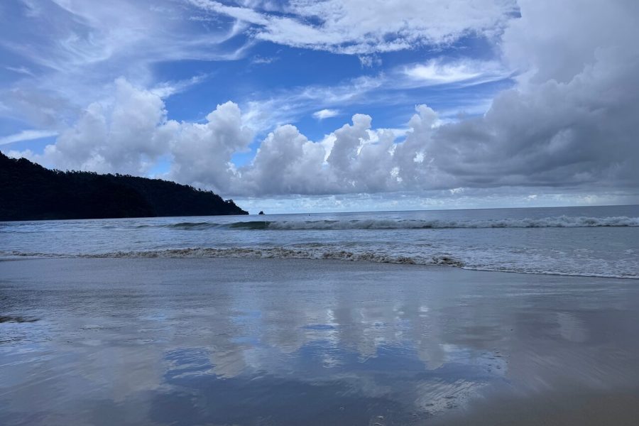 Trinidad Highlights Tour from Port of Spain