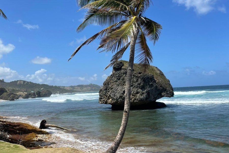 Original Bajan Walking Food Tour