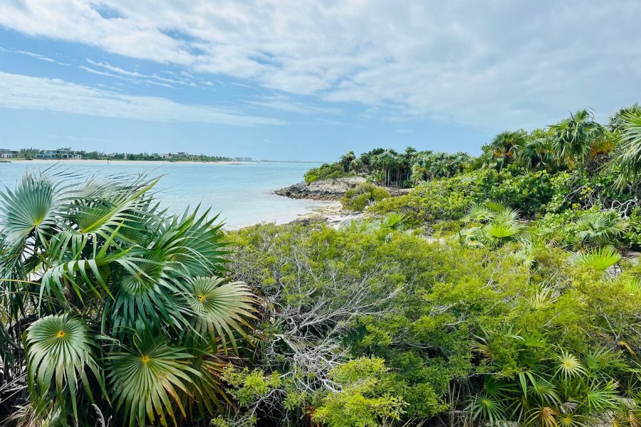 Half Day Snorkel from Providenciales with Visit to Half Moon Bay