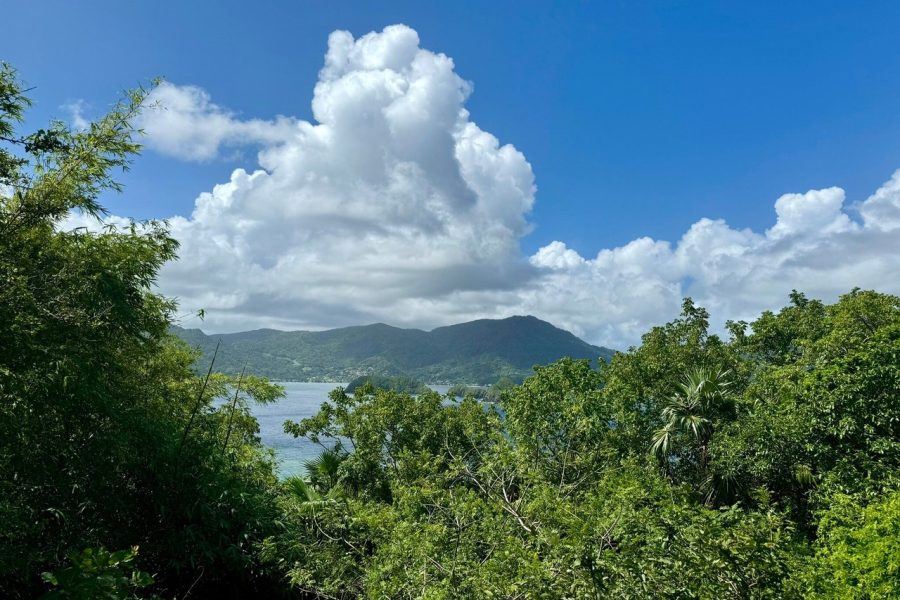 Birdwatching, Waterfall, Rainforest and Island Nature Excursions